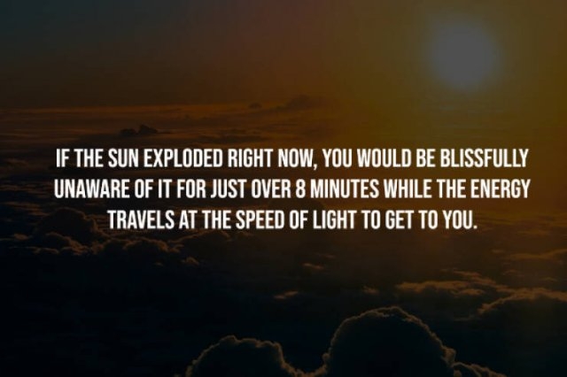 interestingfacts248_012