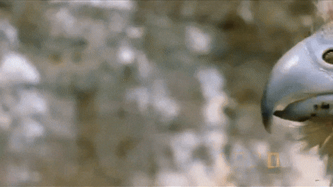 interestingfacts249_003