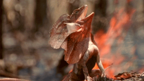 interestingfacts250_001