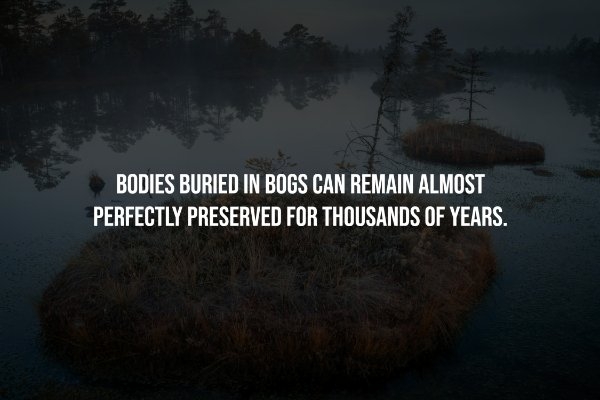 interestingfacts251_001