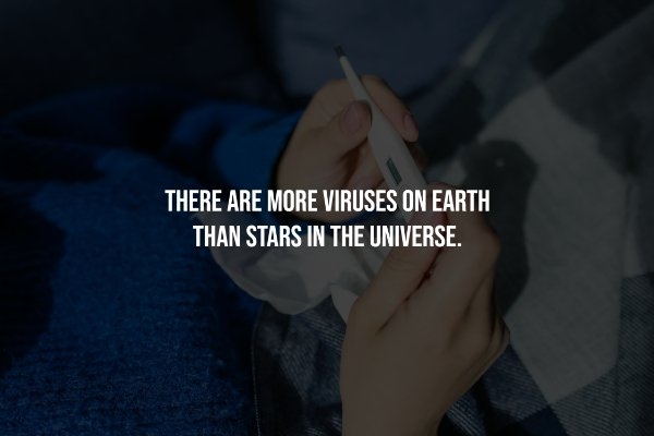 interestingfacts251_002