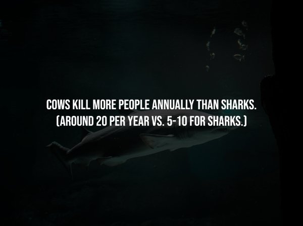 interestingfacts251_003