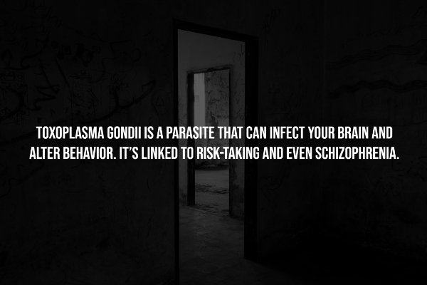 interestingfacts251_004