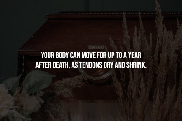 interestingfacts251_006