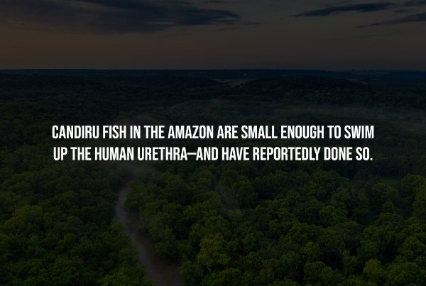 interestingfacts251_014