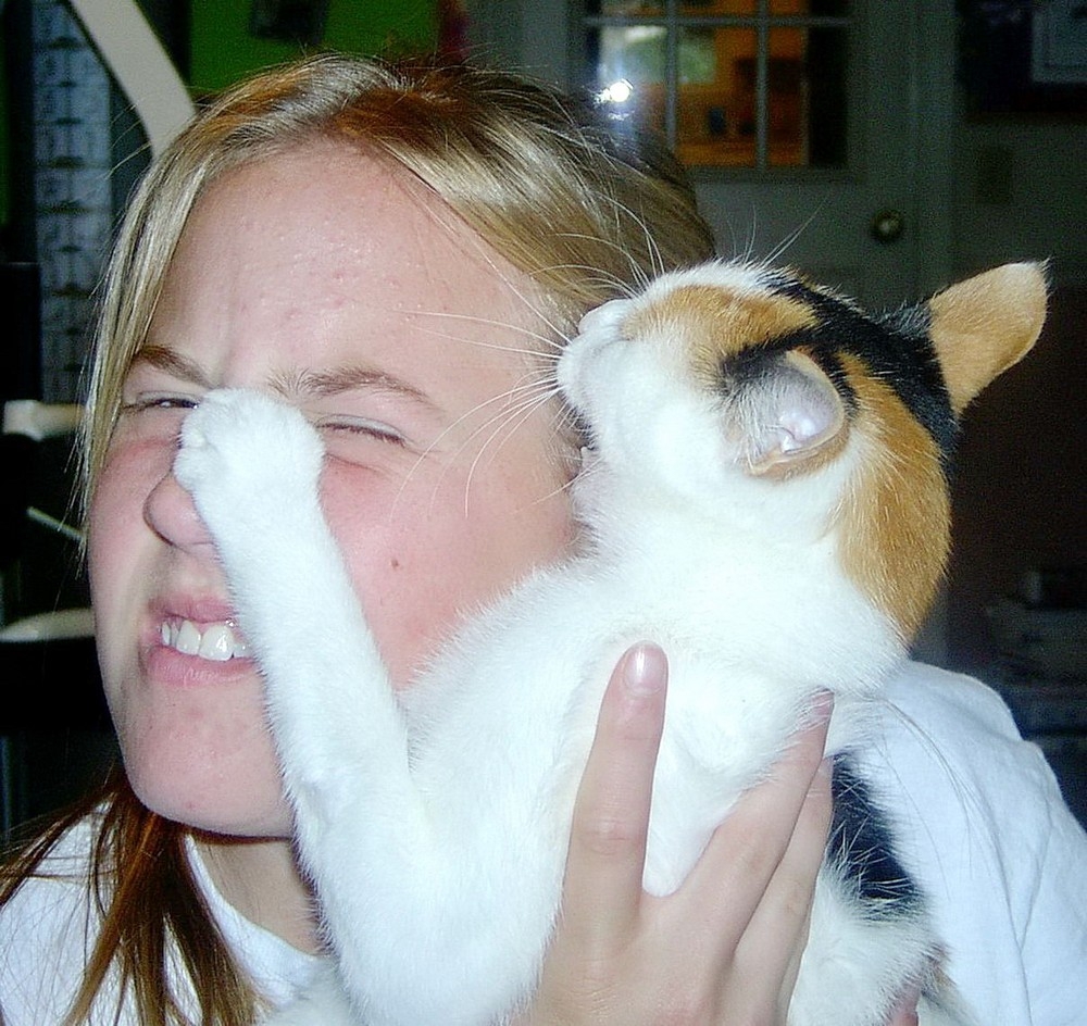 perfectphotos123_027