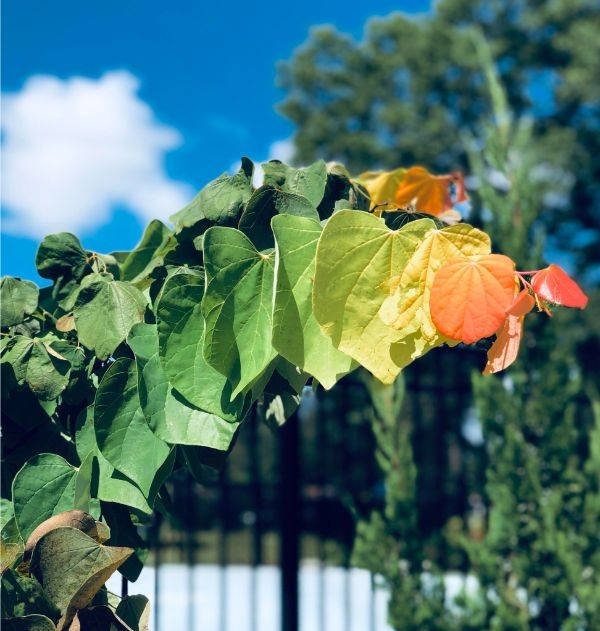 perfectphotos124_005