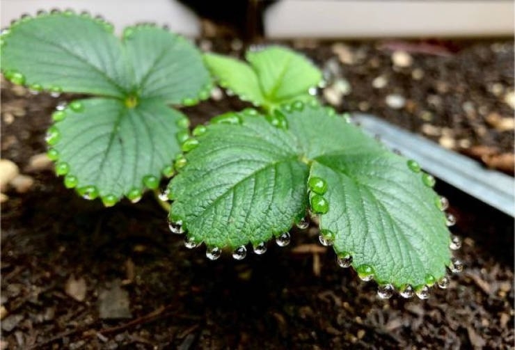 perfectphotos124_007