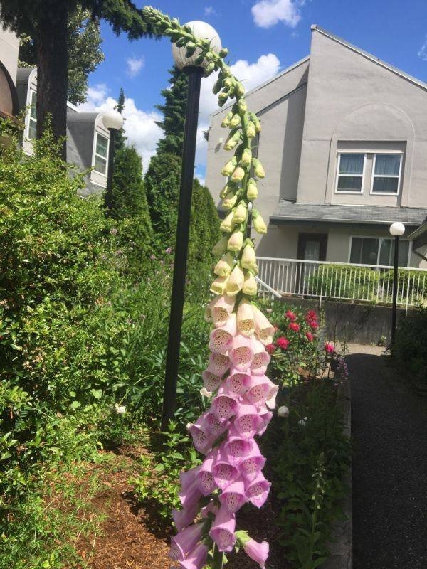 perfectphotos124_008