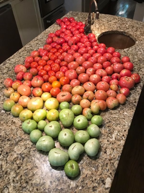 perfectphotos124_013