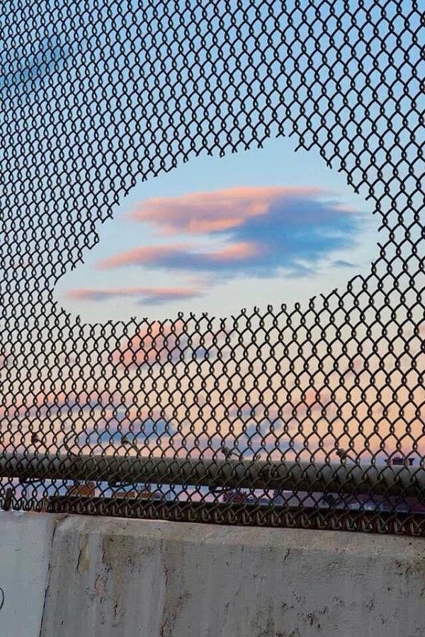 perfectphotos124_016