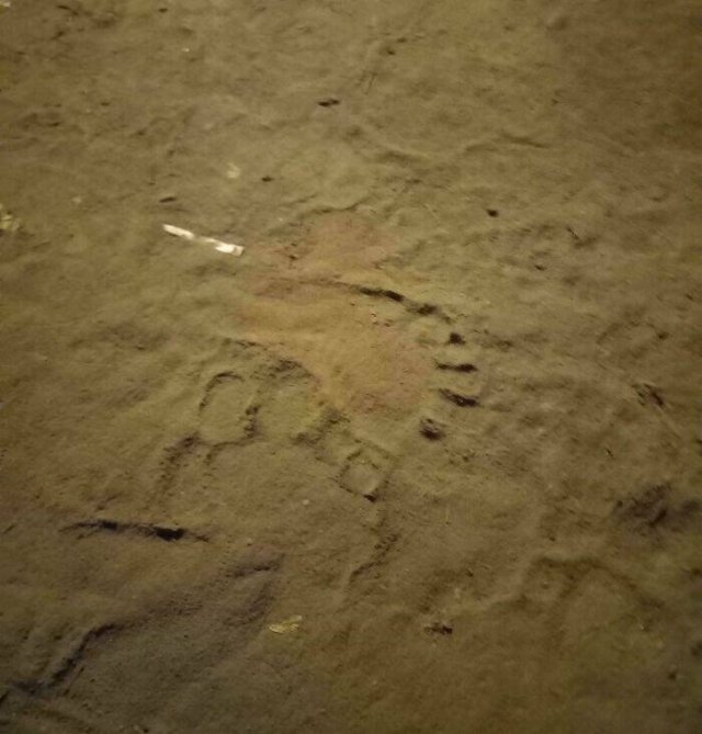 randompics1659_050