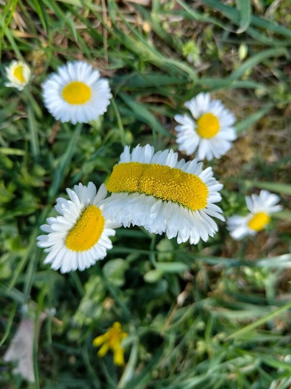 randompics1663_060