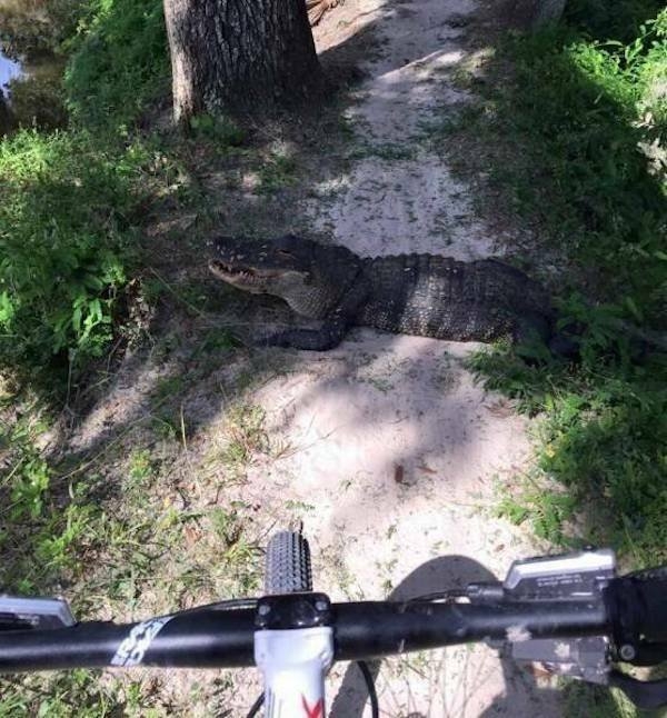 strangedesigns50_007