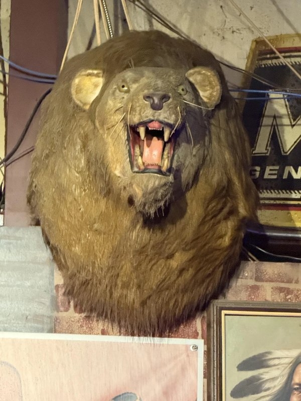 strangedesigns50_028