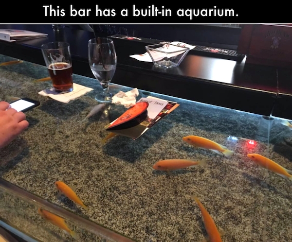 strangedesigns50_038