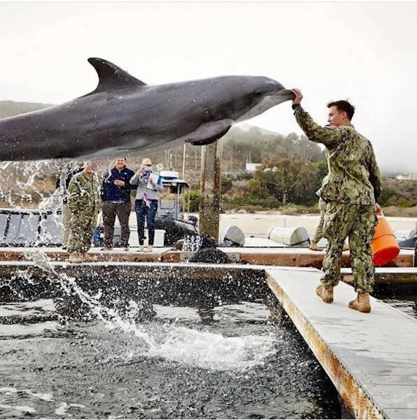 strangedesigns50_041