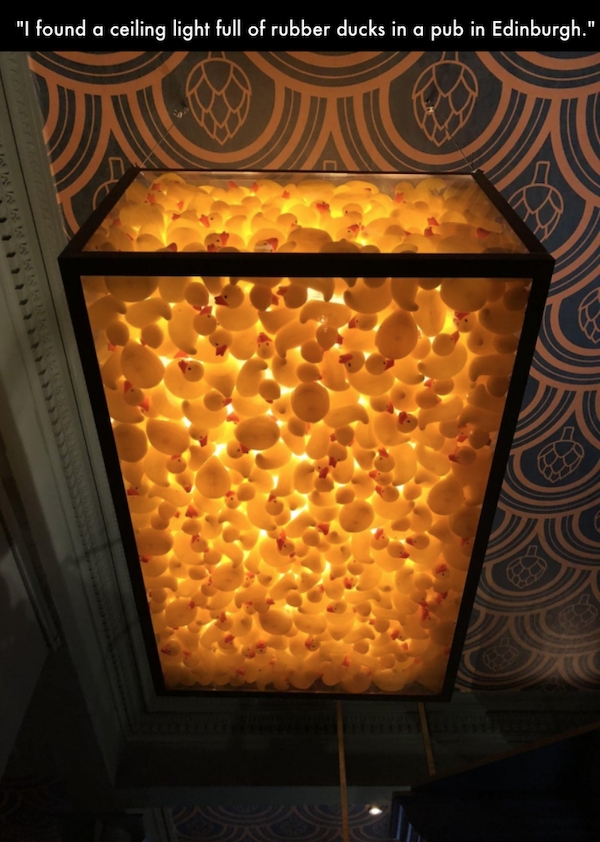 strangedesigns50_049