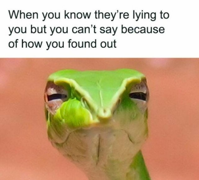 truememes58_003