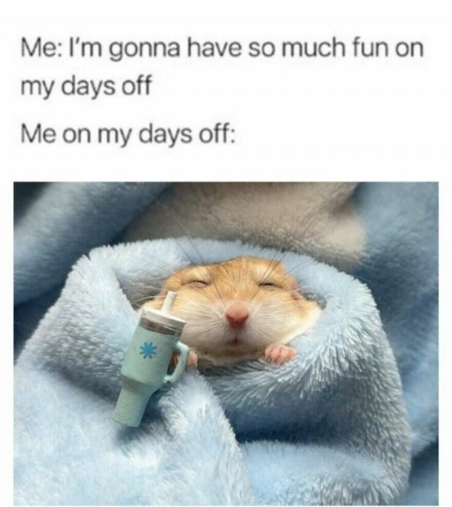 truememes58_008