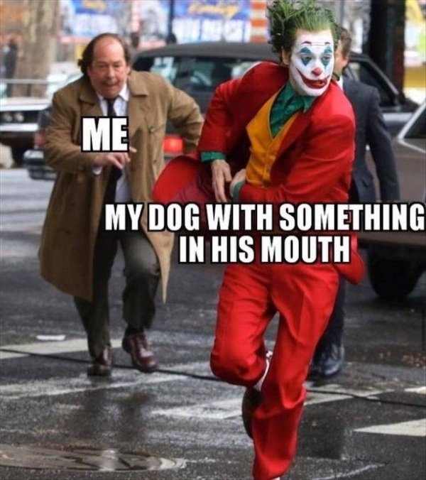 truememes58_025