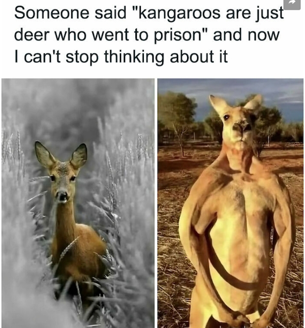 truememes58_034
