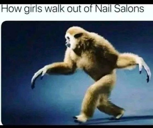 truememes58_037