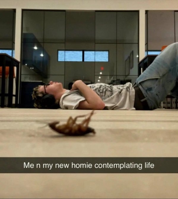 funnymemes316_006
