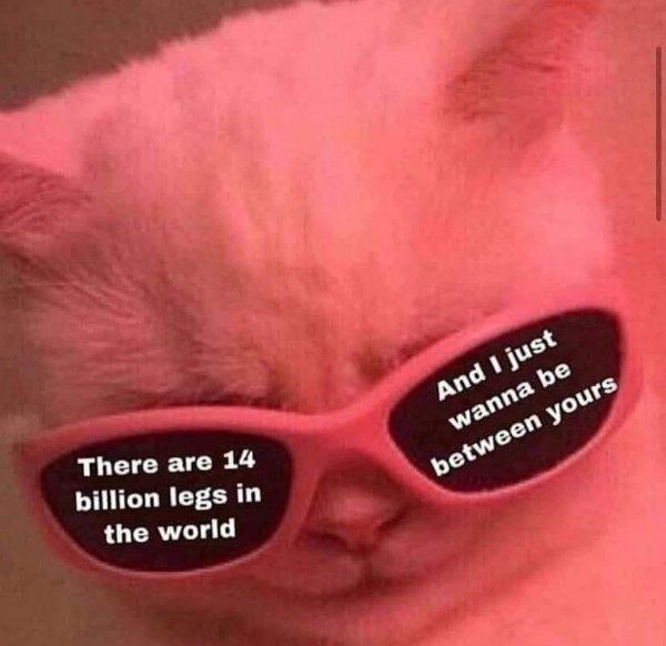 funnymemes316_009