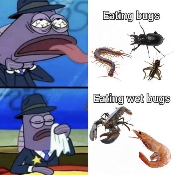 funnymemes316_011