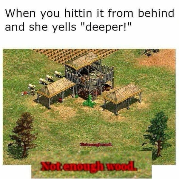 funnymemes316_017