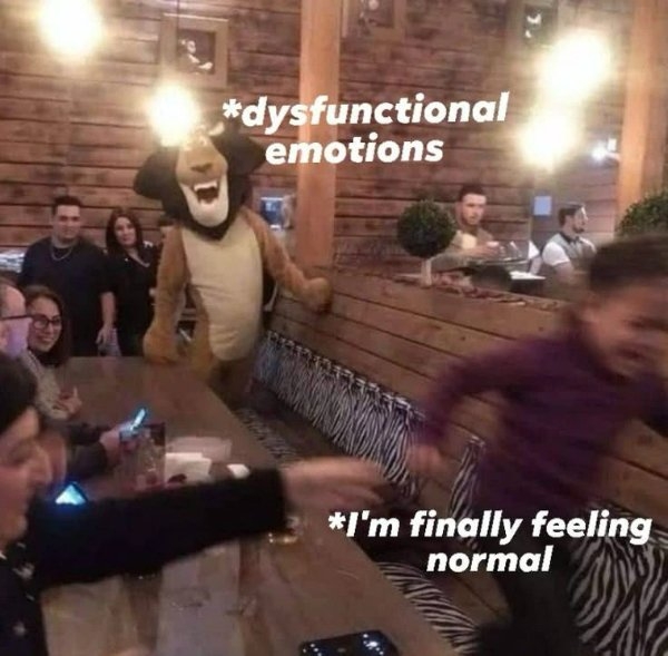 funnymemes316_021