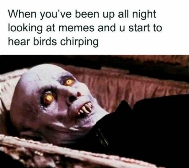 funnymemes319_010