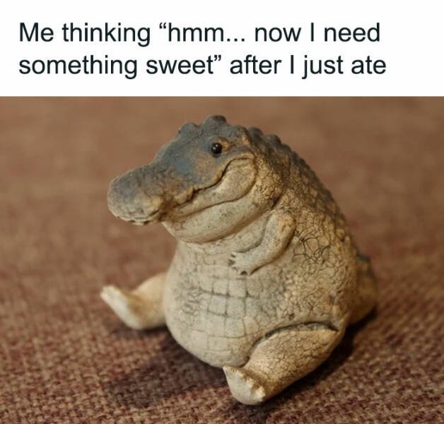 funnymemes319_013