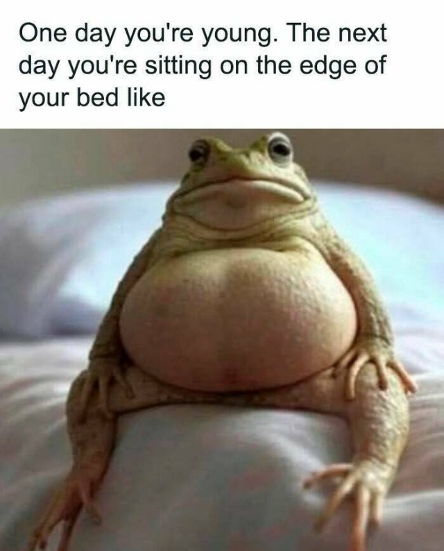 funnymemes319_014