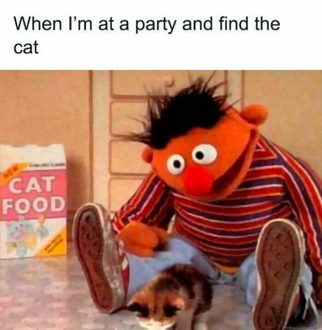 funnymemes319_019