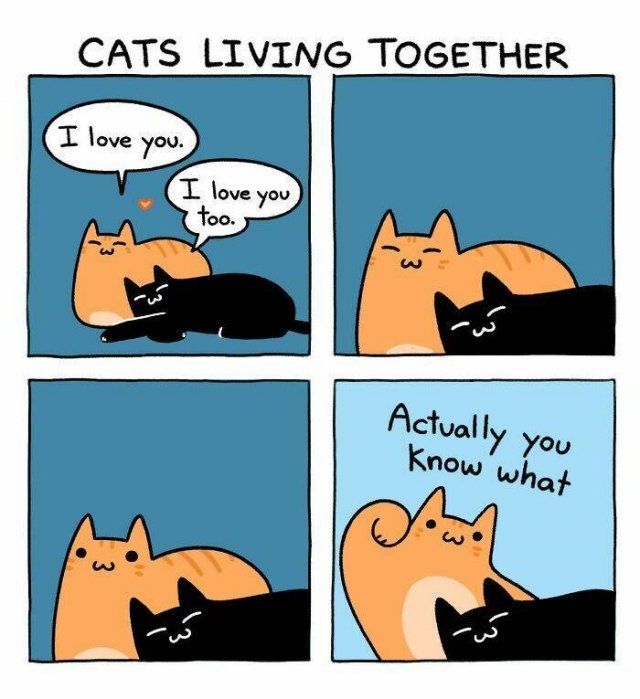 funnymemes319_021