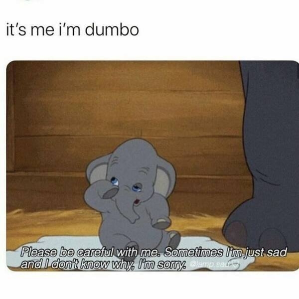 funnymemes319_024