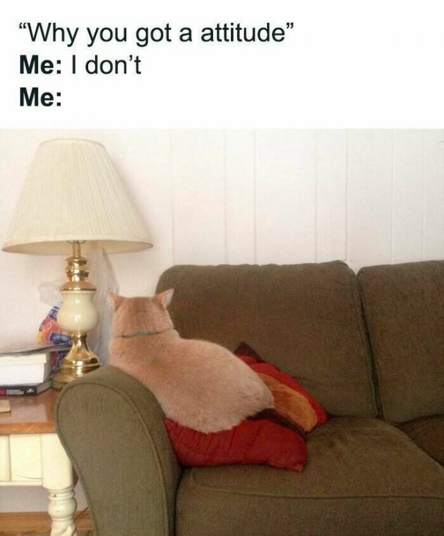funnymemes319_027