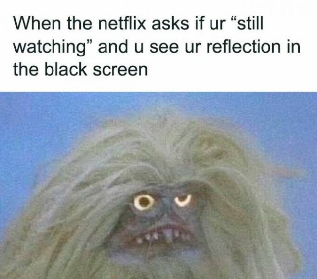 funnymemes319_030
