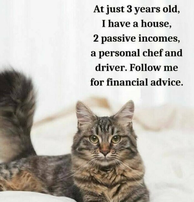 funnymemes319_031