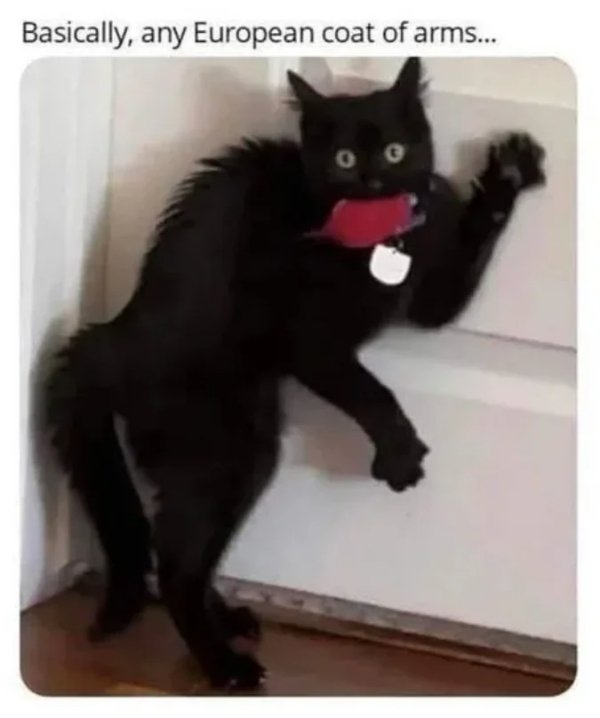 funnymemes319_032