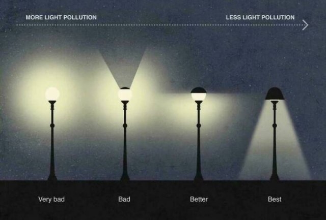 interestingdata50_014