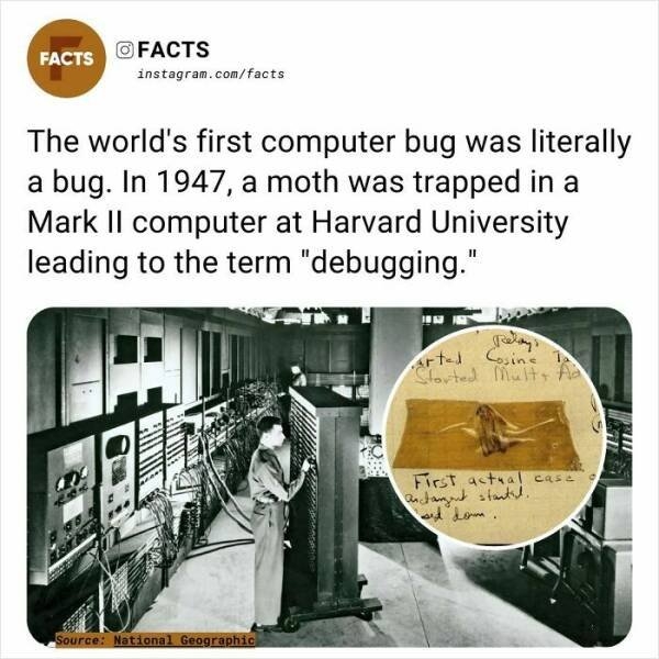 interestingfacts254_007