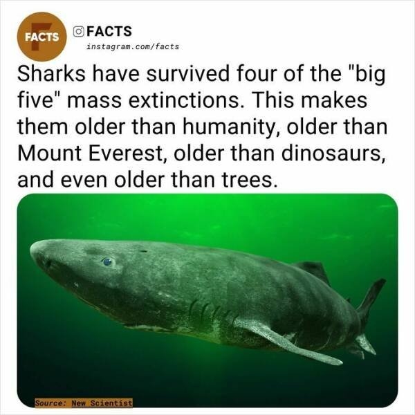 interestingfacts254_015