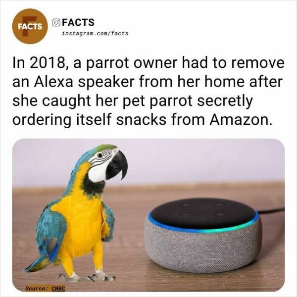 interestingfacts254_018