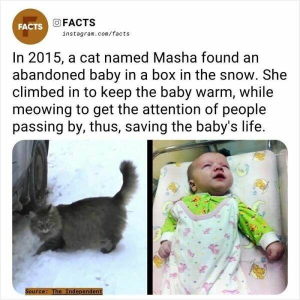 interestingfacts254_020