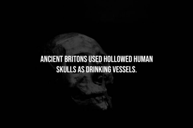 interestingfacts256_004