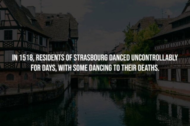 interestingfacts256_007