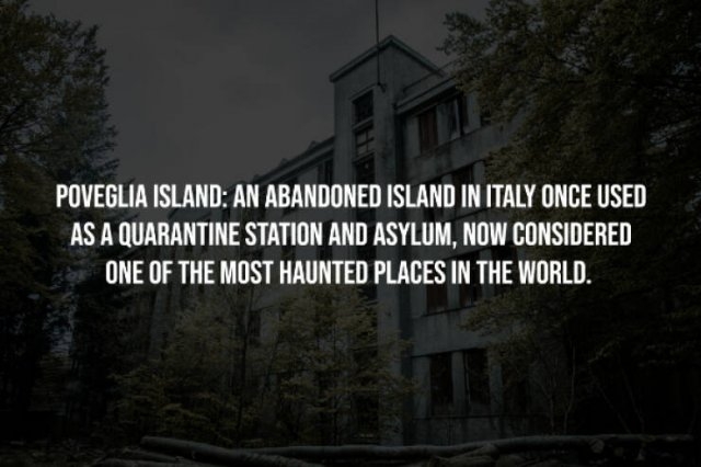 interestingfacts256_009